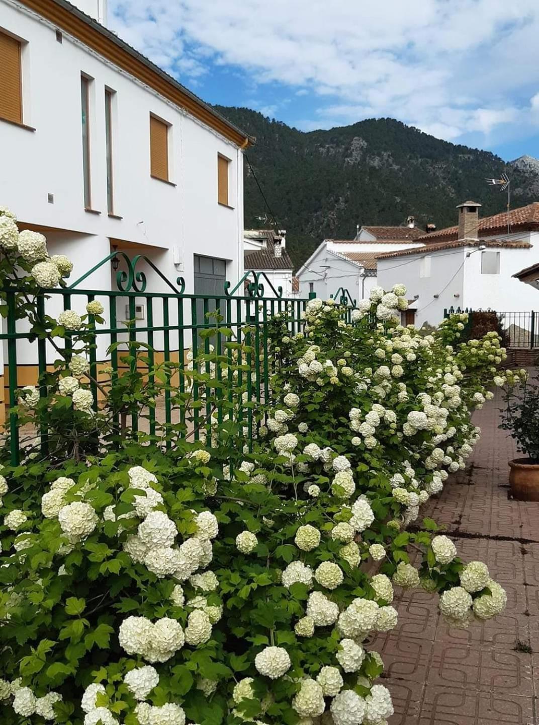 Albergue Ruta Rio Borosa Coto Rios Kültér fotó